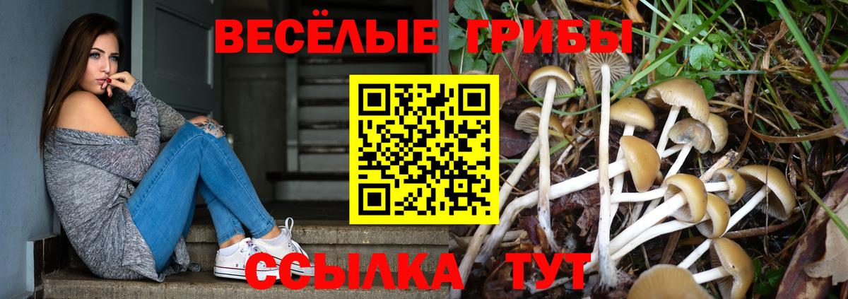 Галлюциногенные грибы GOLDEN TEACHER Добрянка