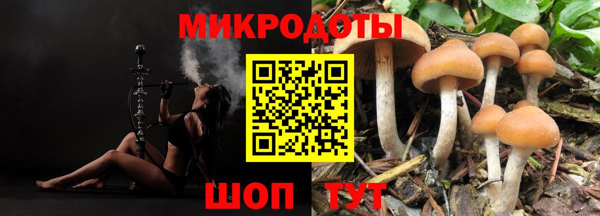 Галлюциногенные грибы Cubensis  Вход с VPN  Добрянка 